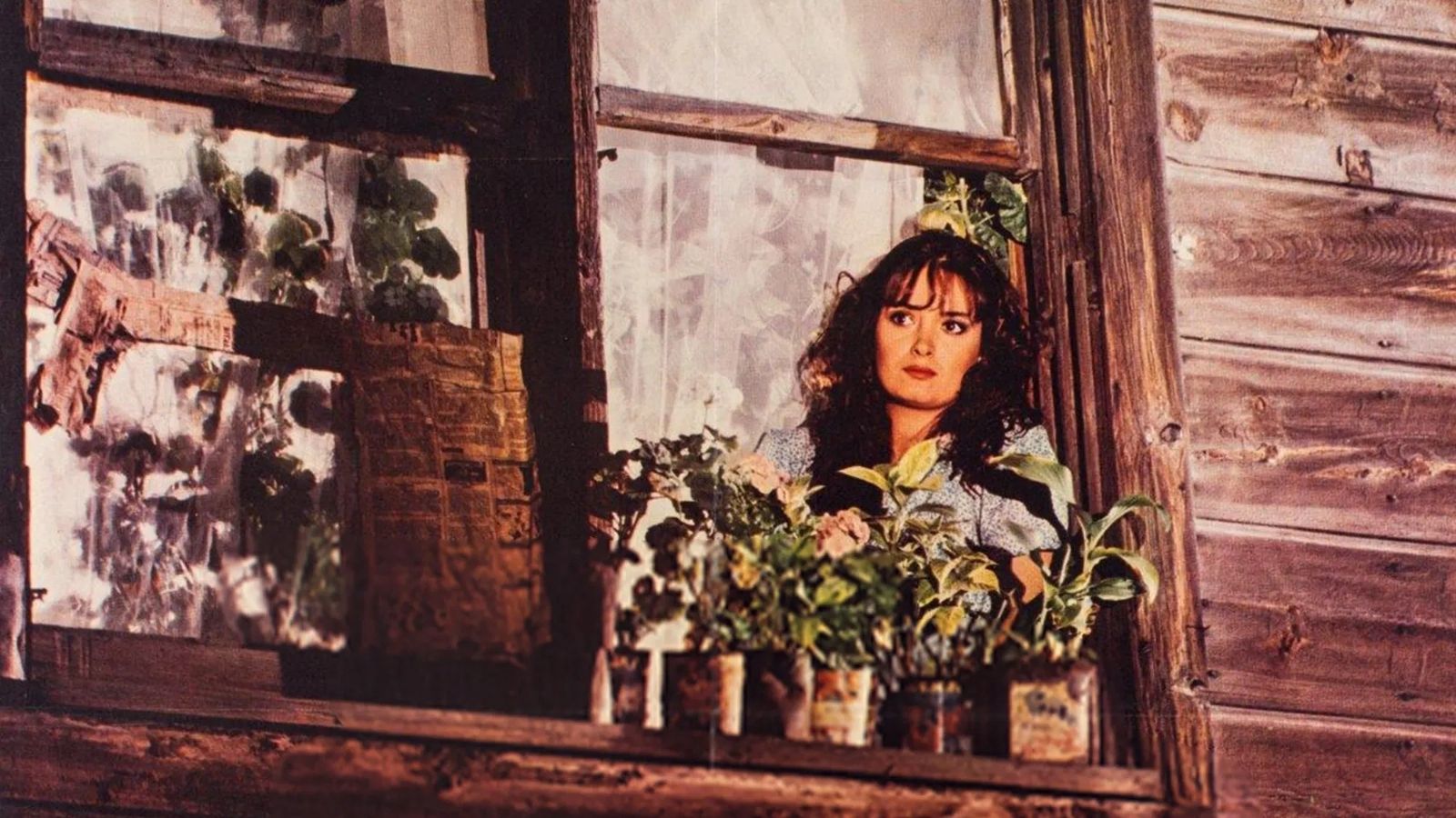 Zarafet ve direniş: Türk sinemasından kadın hikayeleri