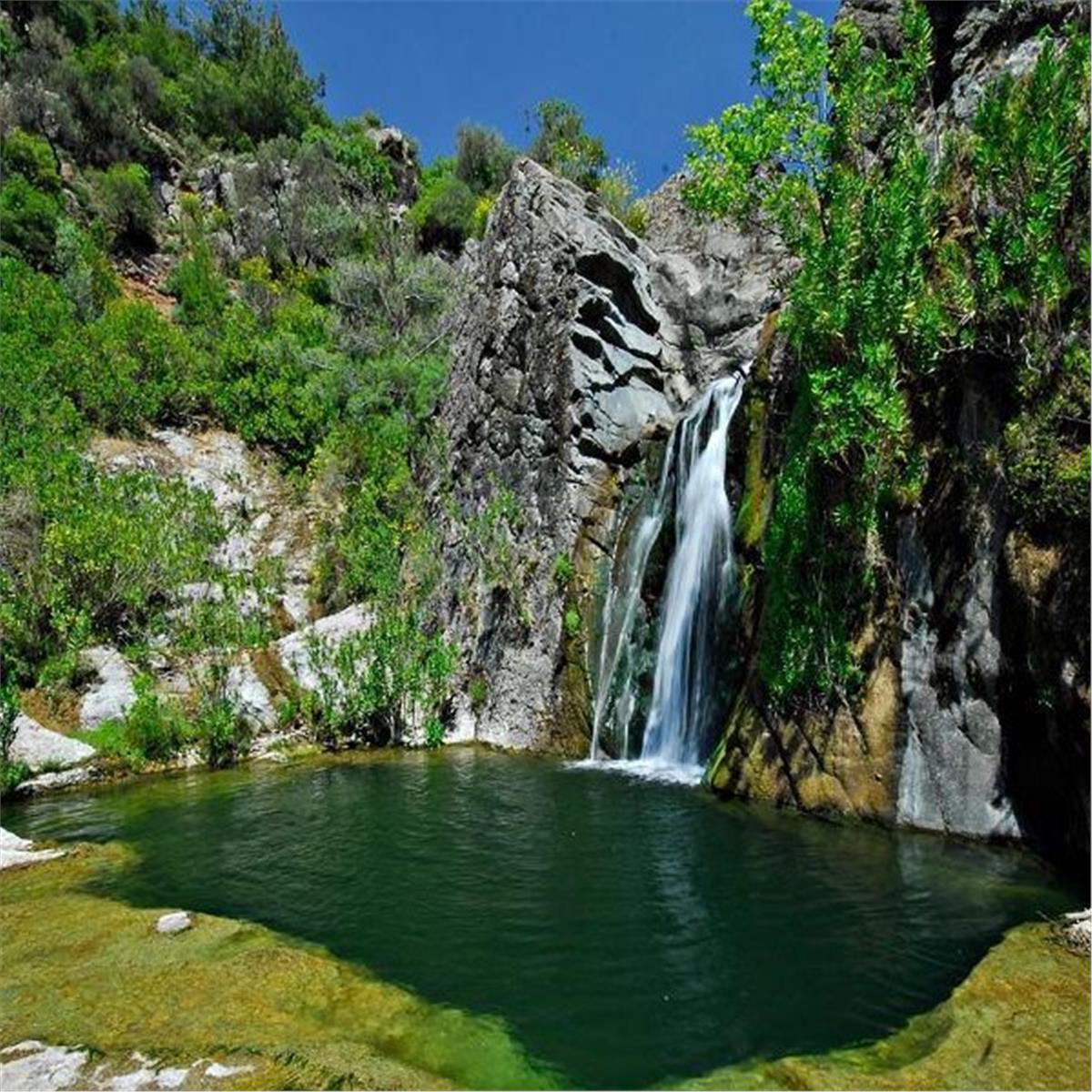 69B7A095 831A 45A1 B430 749304Cf2B69