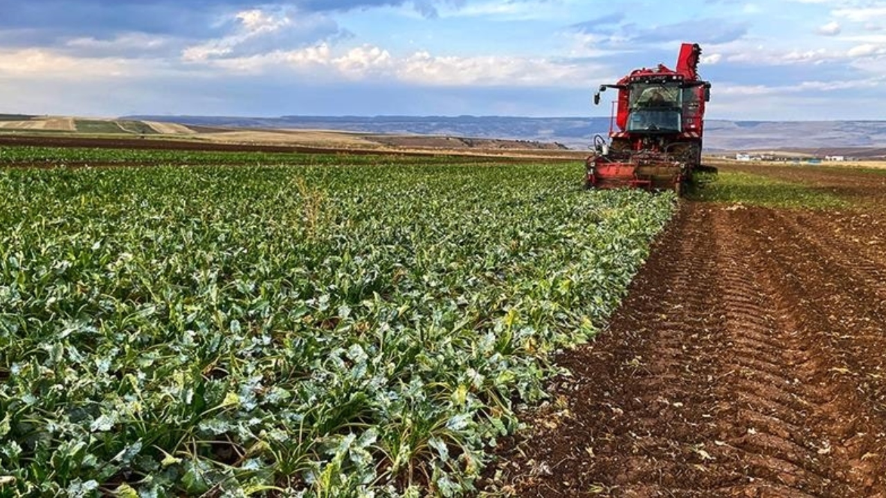 Bakan Açıkladı Tarımsal Destek Ödemesi Bugün Hesaplara Yatacak