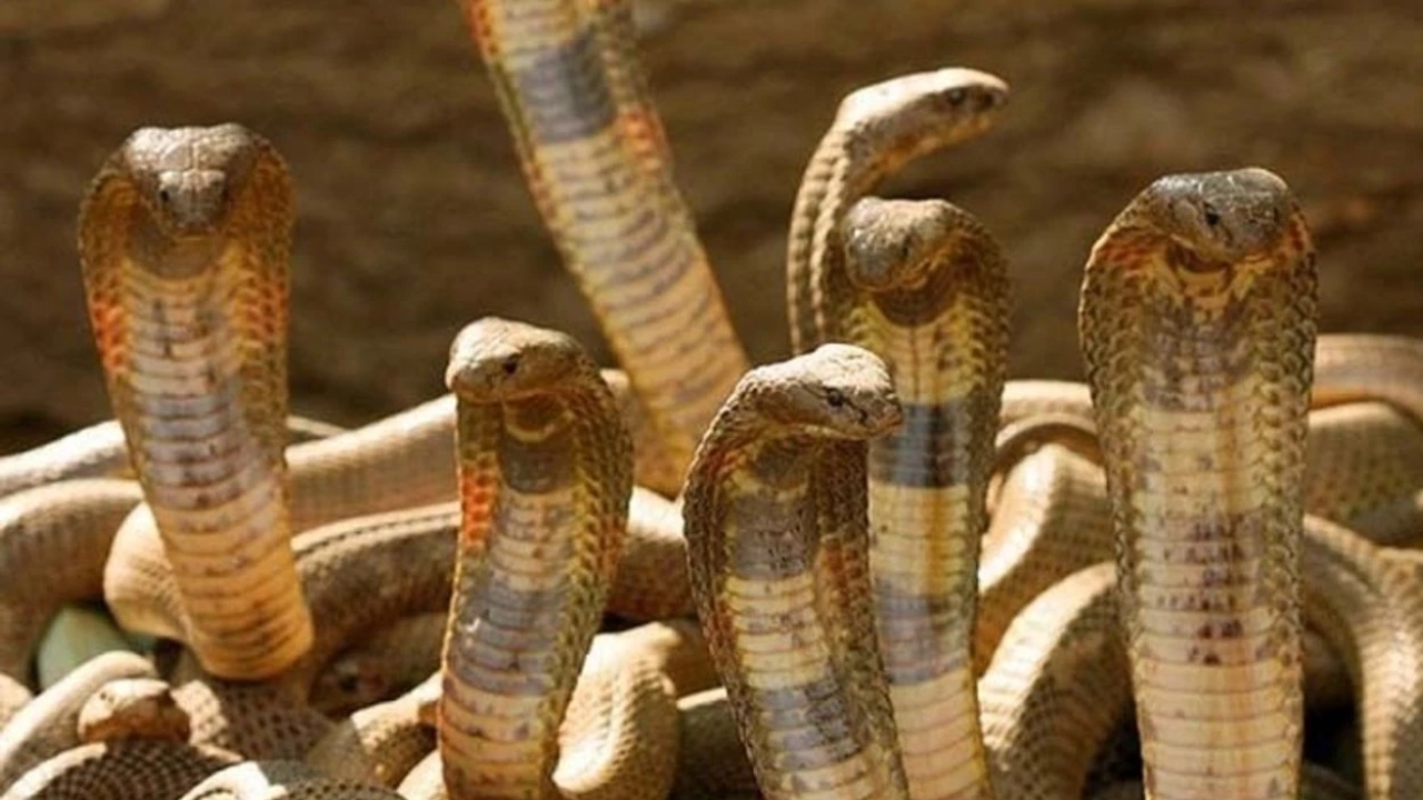 Bu Adaya Kimse Giremiyor Arkasındaki Sebep Ne (2)