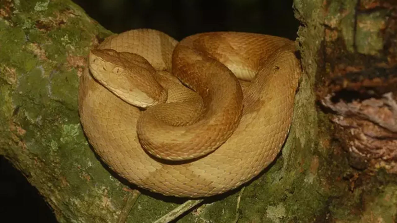 Bu Adaya Kimse Giremiyor Arkasındaki Sebep Ne