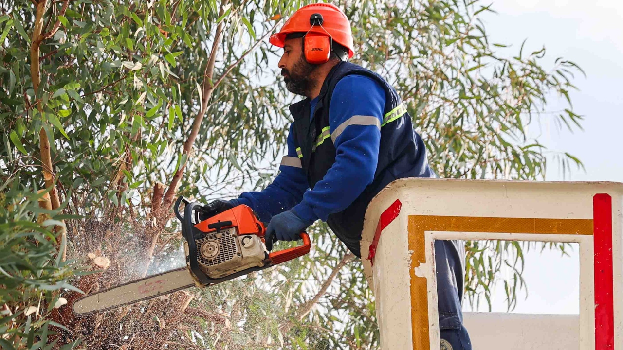 Buca Belediyesi’nden Kış Öncesi Budama Seferberliği