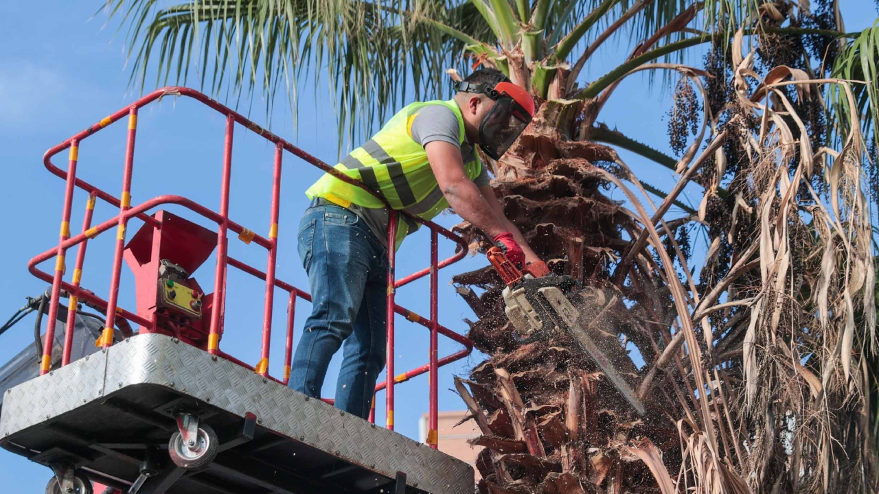 Buca Temizlik Seferberliği Sokaklar Köşe Bucak Temizlik