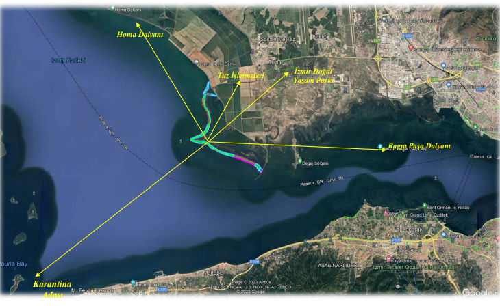 Daha önce iptal edilmişti: İzmir Körfez temizliği projesinde yeni gelişme