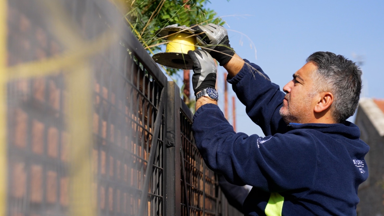 İzmir’de Karasinekle Yoğun Mücadele