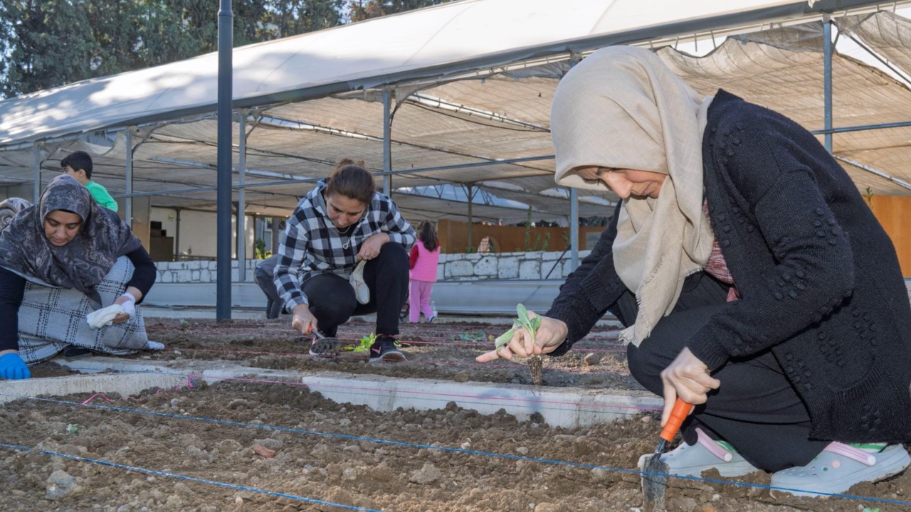 Mahalle Bostanlarında Kış Dikimleri Başladı Kadınlar Kendi Hasadını Üretiyor (2)