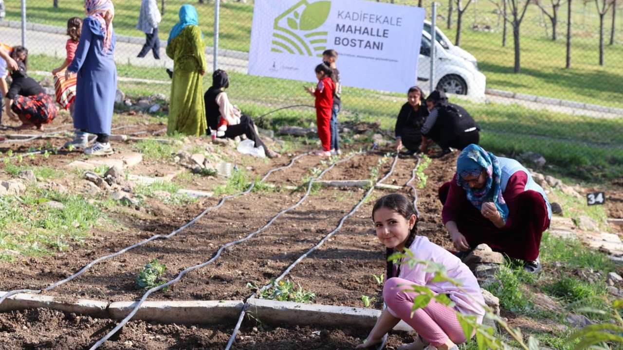 Mahalle Bostanlarında Kış Dikimleri Başladı Kadınlar Kendi Hasadını Üretiyor