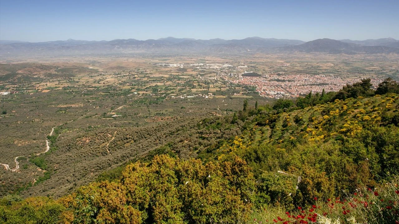 S E Y İ R T E R A S I