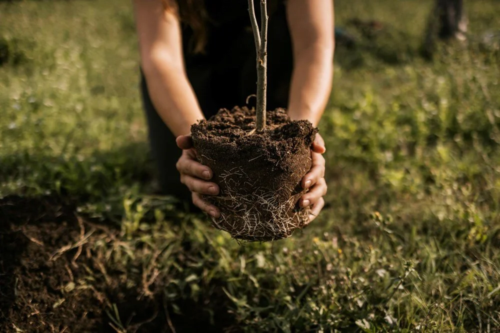 Sakız Çiğnemek, Tren Istasyonunda Öpüşmek Ya Da Dar Pantolon Giymek… Ülkelerin En Tuhaf Yasakları (3)-1