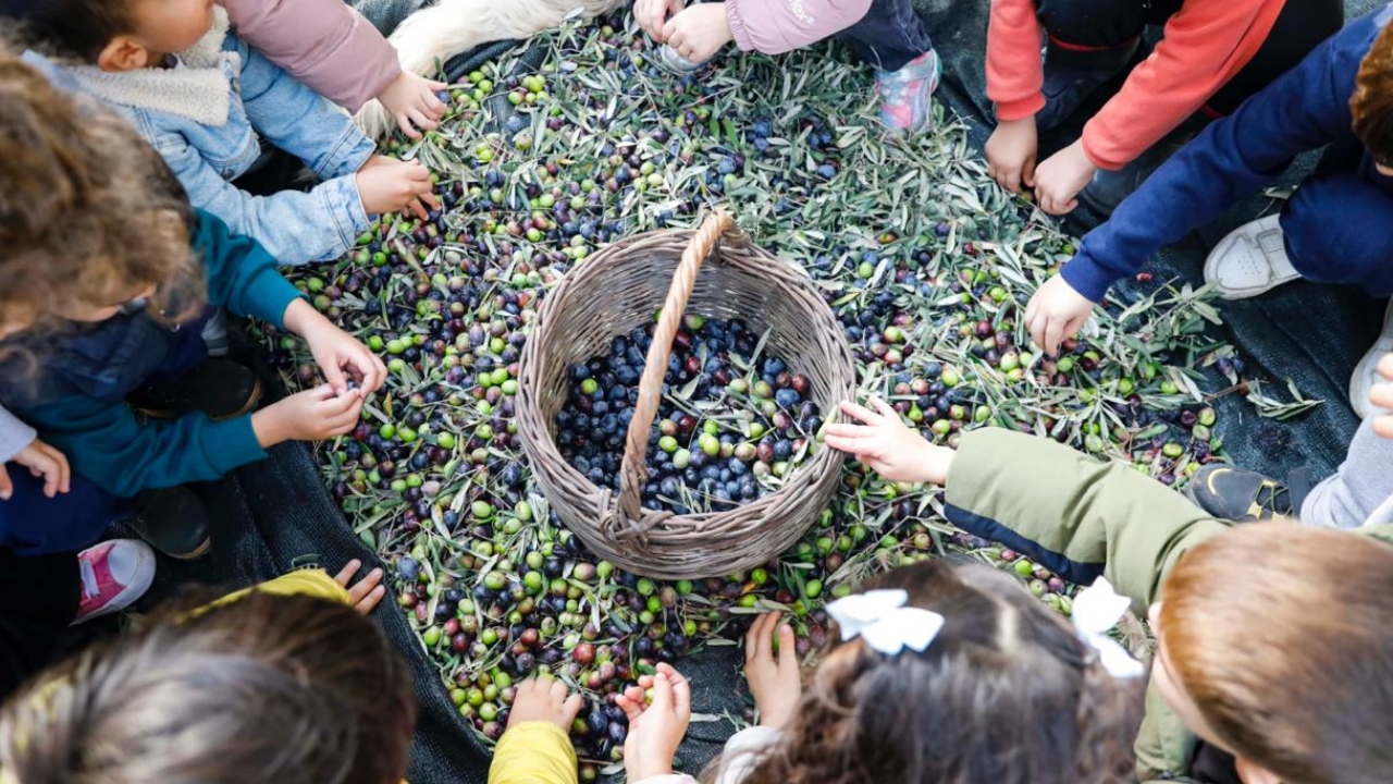 Seferihisar’da Örnek Proje İhtiyaç Sahiplerine Zeytinyağı Dağıtılacak