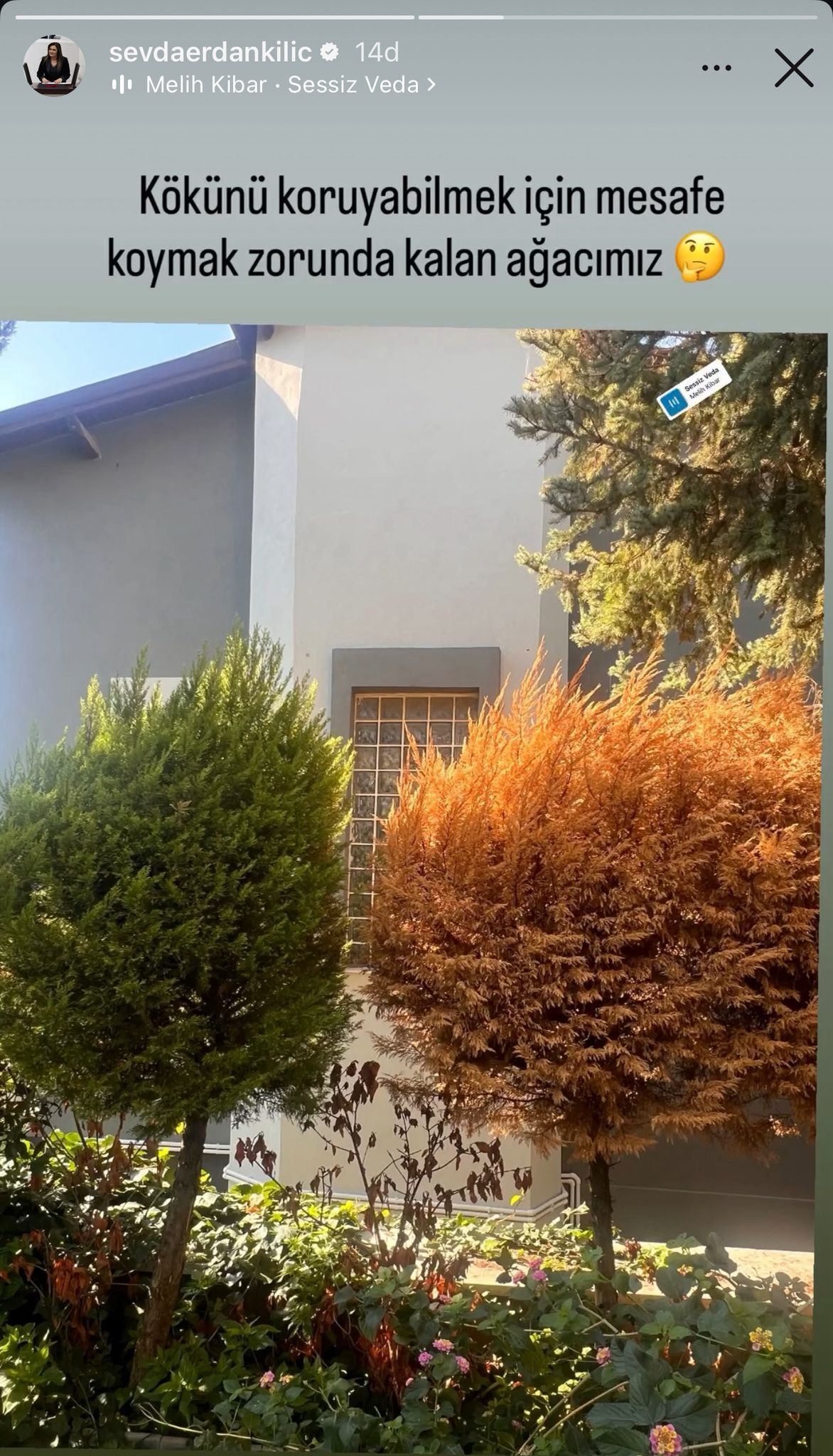 chpli-kilictan-manidar-paylasim