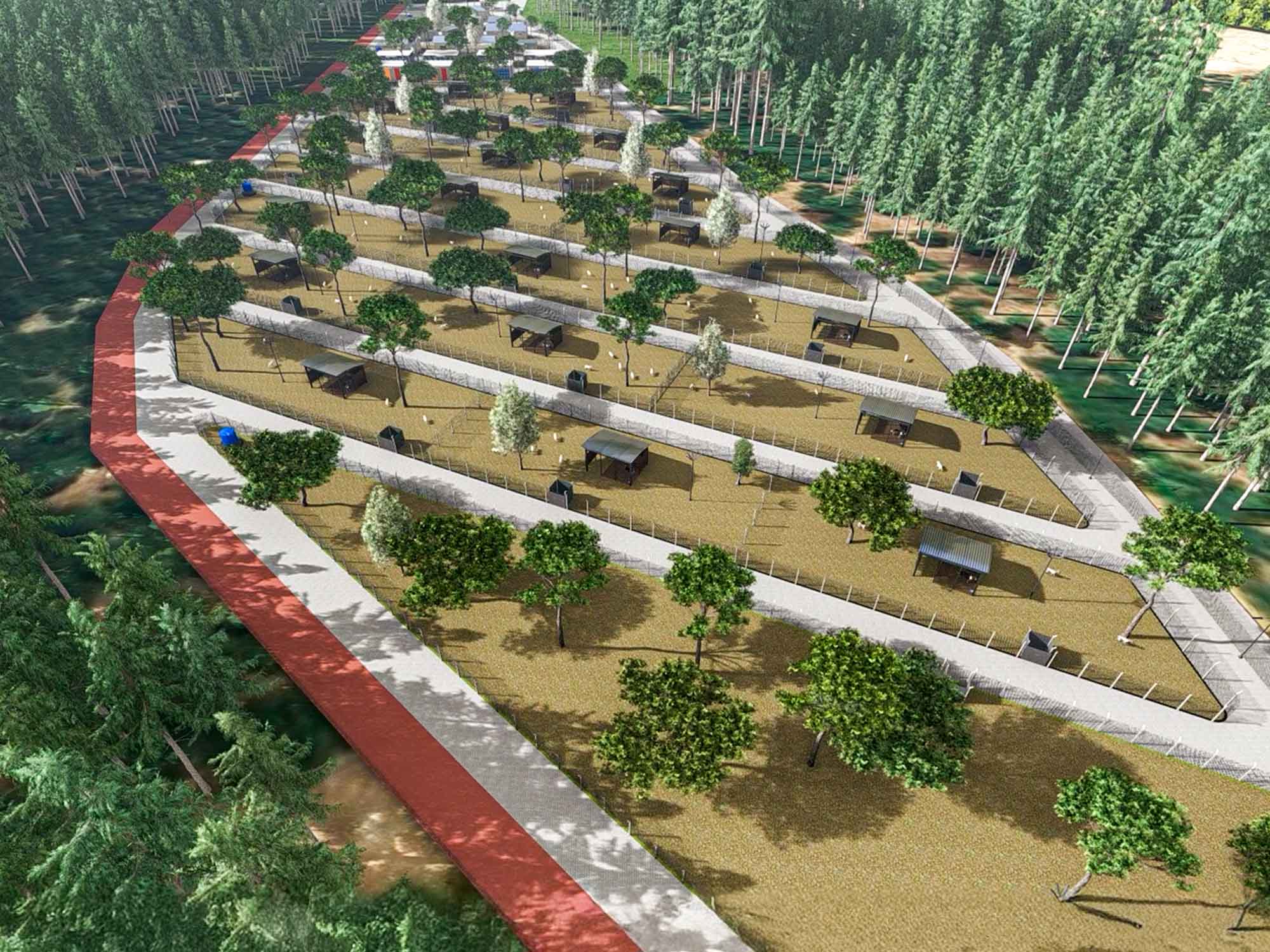 Sokak Hayvanları Doğal Yaşam Alanı (2)