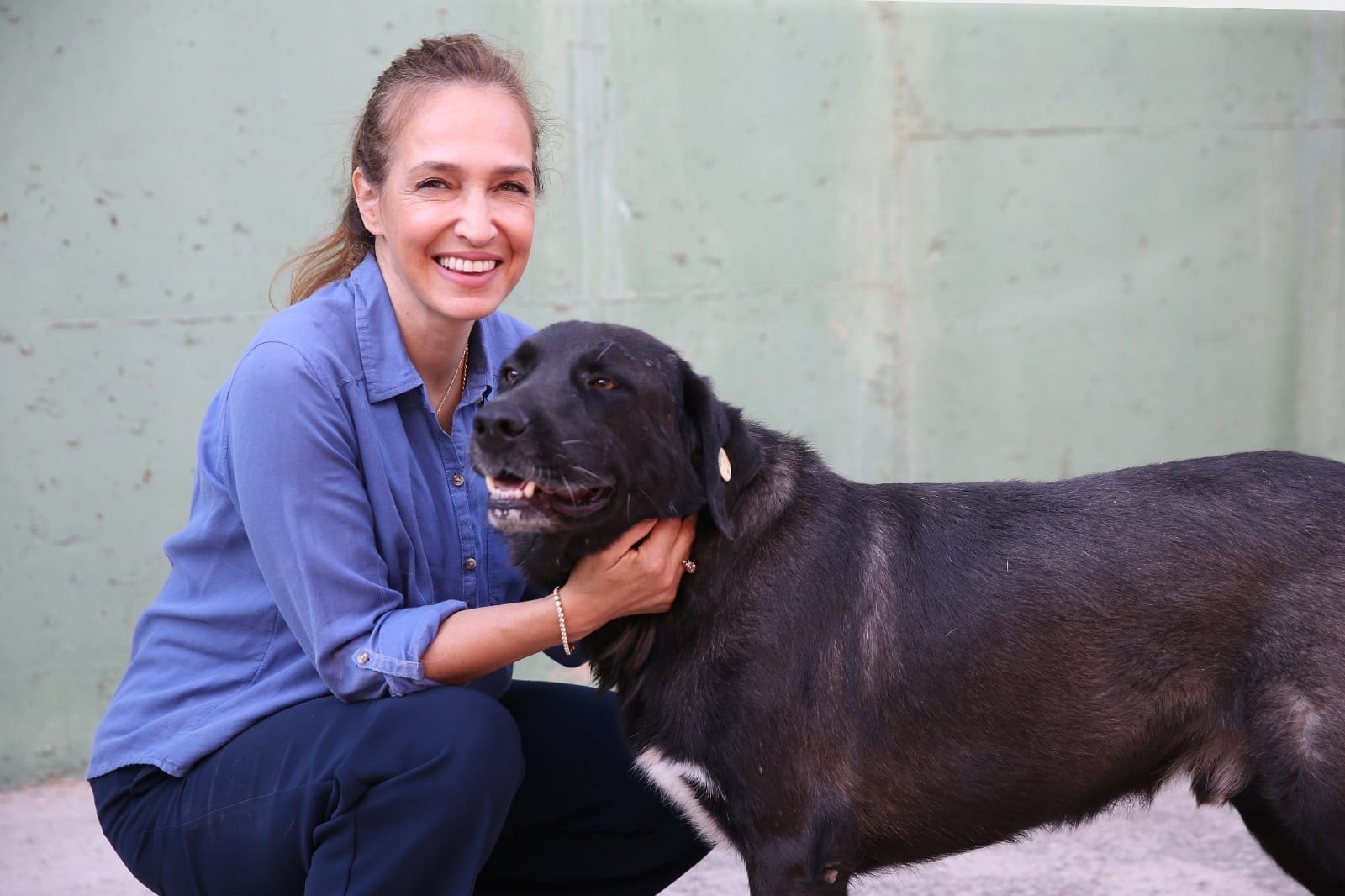 Karşıyaka’da 40 bin can dosta şefkat eli