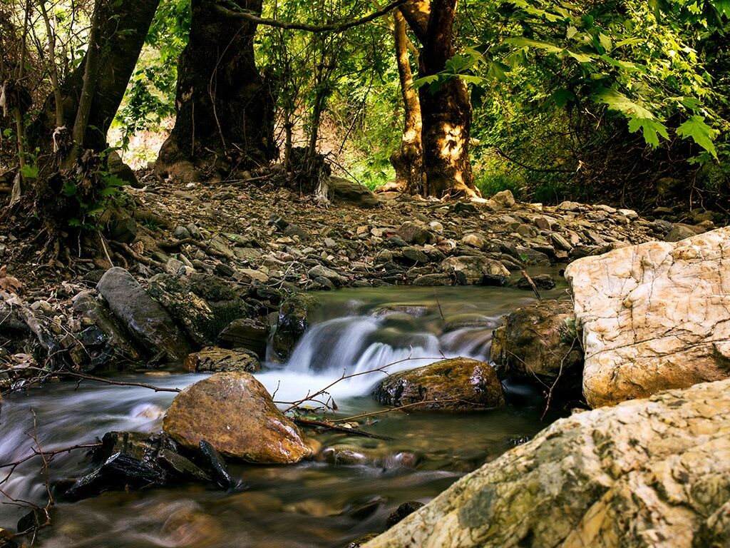 Asırlık çınarların gölgesinde hafta sonu kaçamağı: İzmir’in bu şirin köyü keşfedilmeyi bekliyor