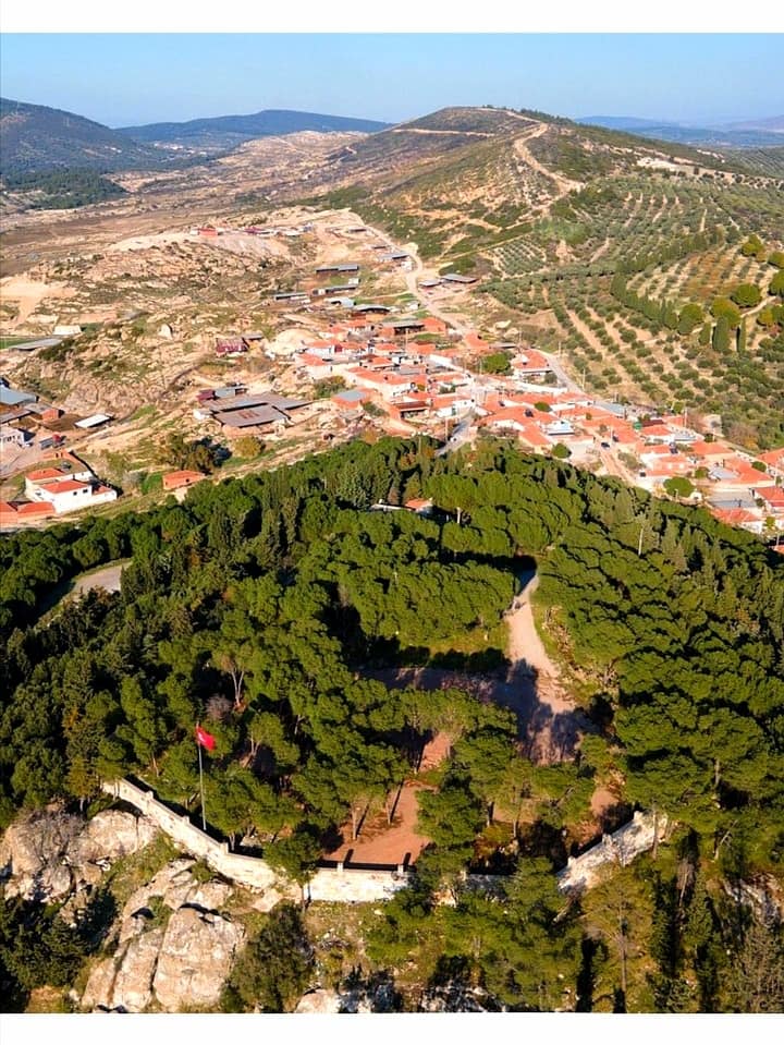 Tadıyla Avrupa’nın gözdesi oldu İzmir’in domatesiyle ünlenen şirin köy