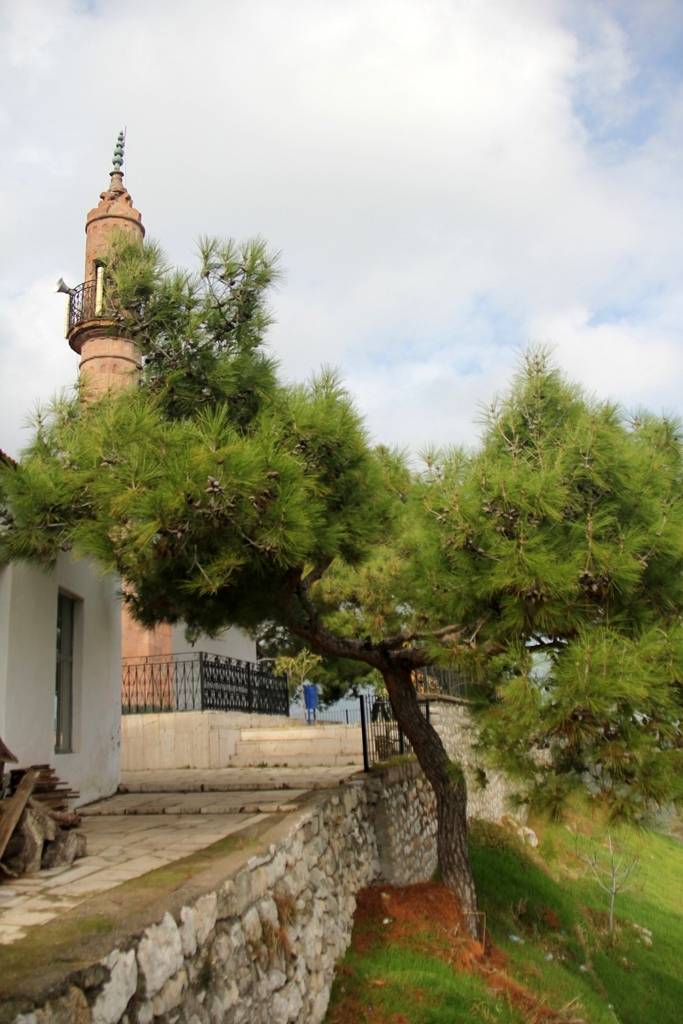 600 Yıllık Çınarın Gölgesinde Bir İzmir Köyü Balıkçı Limanı Ve Sade Lezzetlerin Adresi (3)