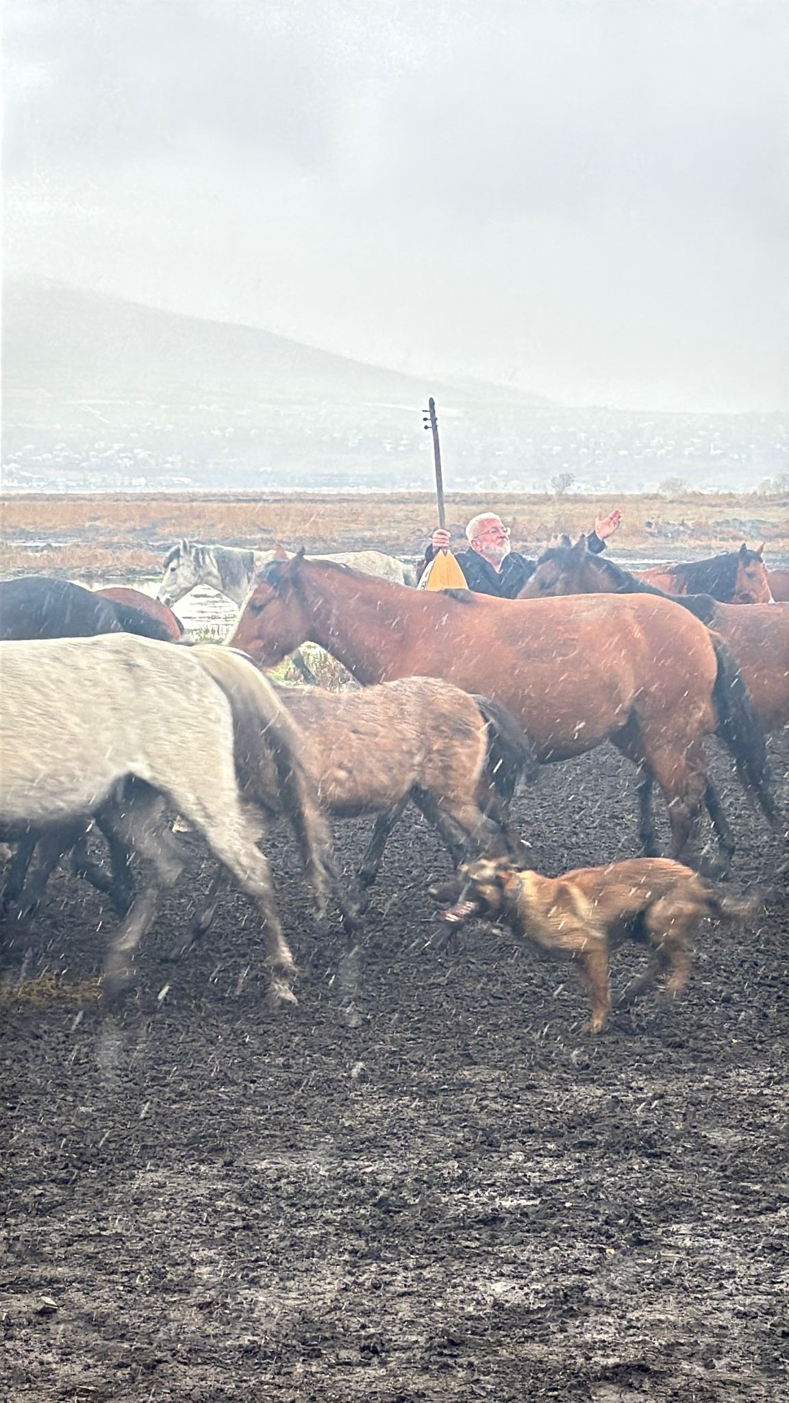 665Fb357 25F2 4D53 983D 2E03E2E78814