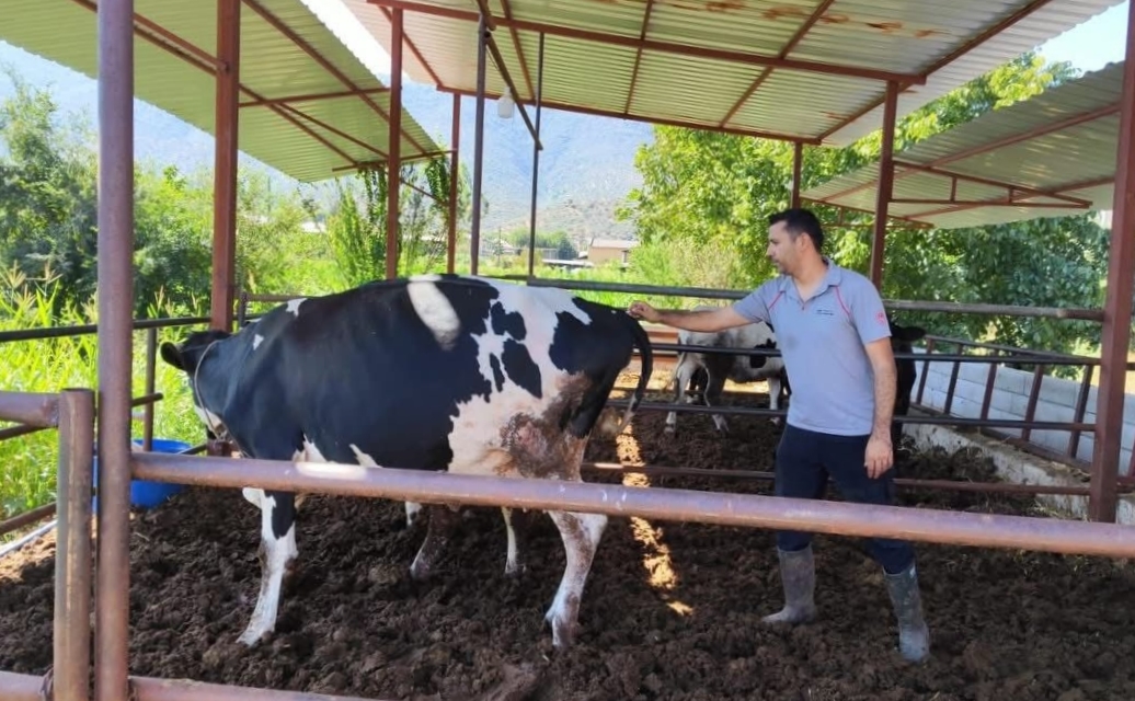 A A 20251207 39918022 39918019 M I L A S T A S A P H A S T A L I G I N E D E N I Y L E 11 M A H A L L E K A R A N T I N A Y A A L I N D I