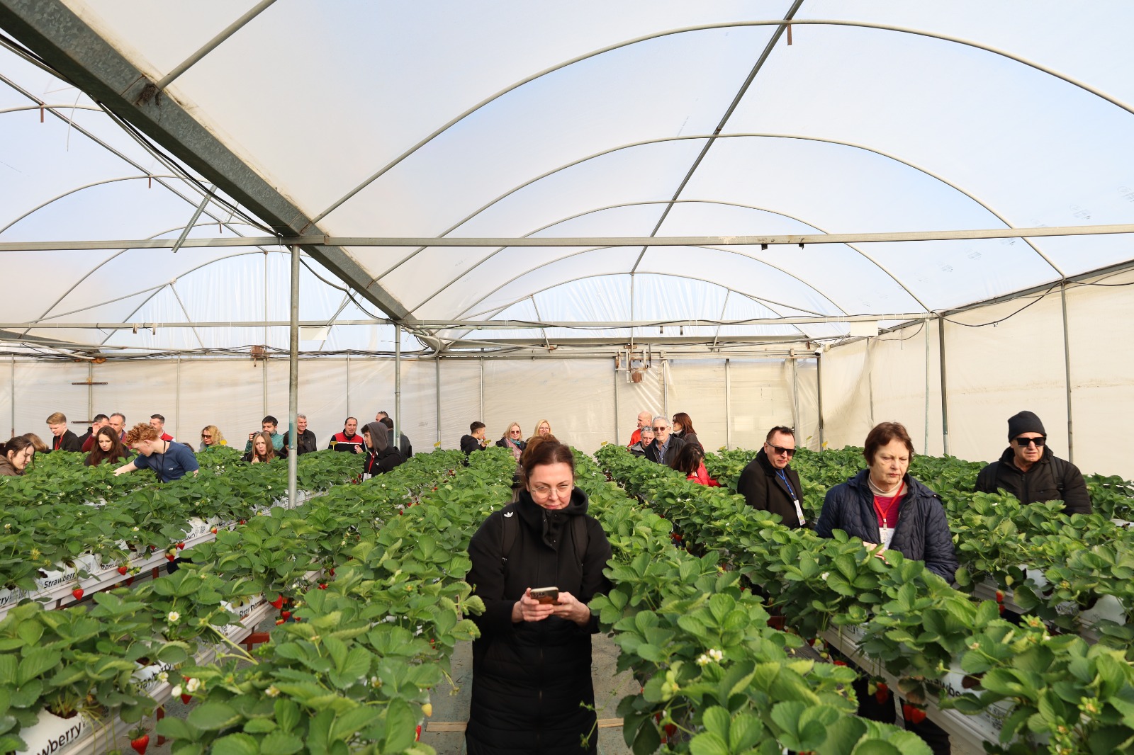 Menemen’de uluslararası heyet sürdürülebilir tarım işletmelerini ziyaret etti