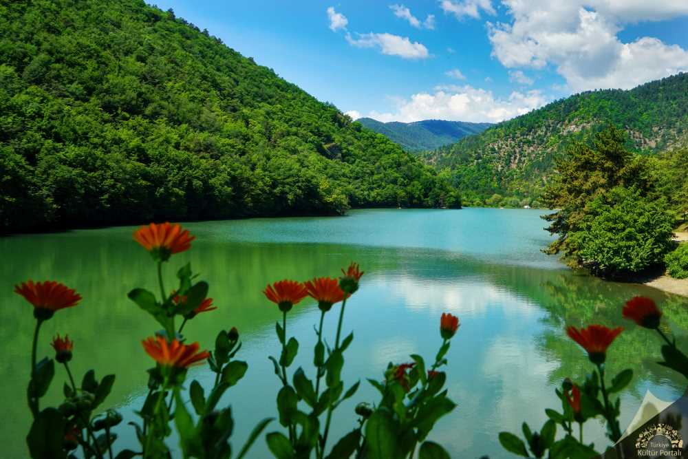 Görenler Gölcük Sanıyor Hem Kış Hem Yaz Cenneti (1)