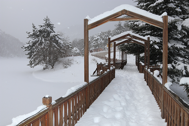 Görenler Gölcük Sanıyor Hem Kış Hem Yaz Cenneti (3)