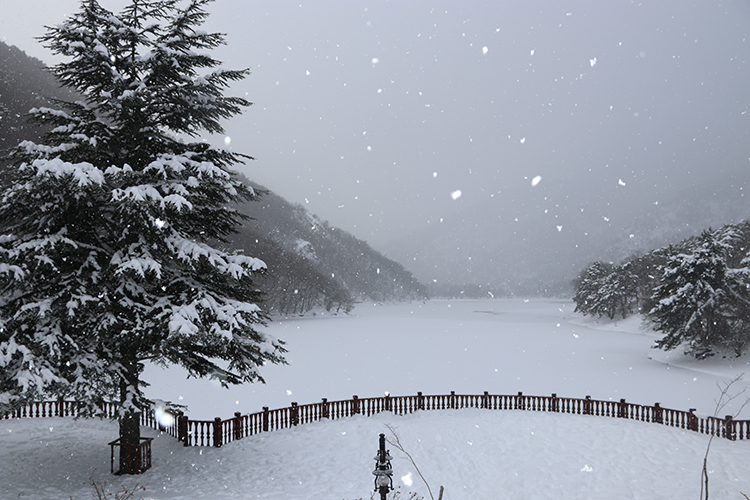 Görenler Gölcük Sanıyor Hem Kış Hem Yaz Cenneti (4)