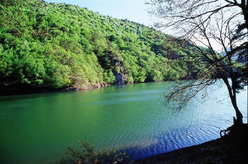 Görenler Gölcük Sanıyor Hem Kış Hem Yaz Cenneti (6)