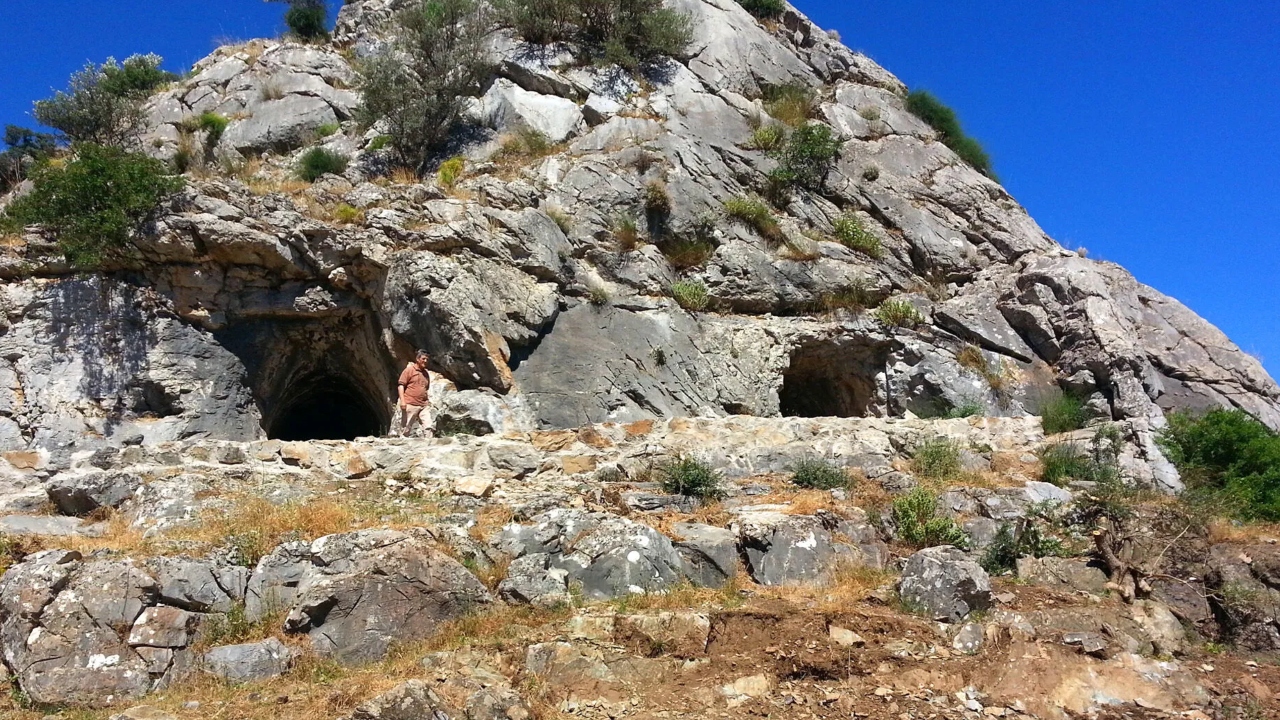 Homeros Vadi̇si̇-2