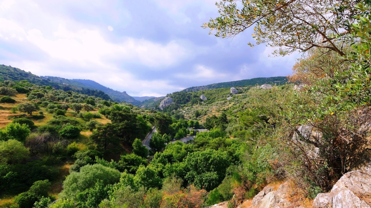 Homeros Vadi̇si̇ (Bornova)