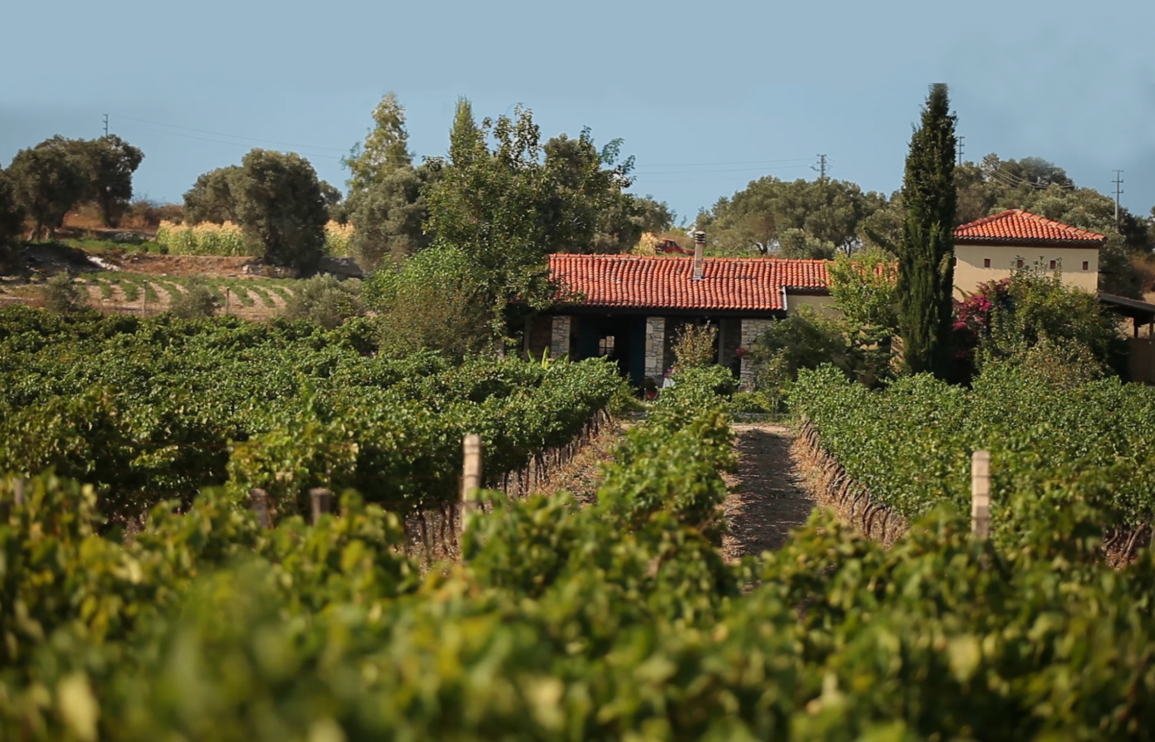 İtalya’ya Gitmenize Gerek Yok İzmir’de Toskana’yı Aratmayan 8 Yer