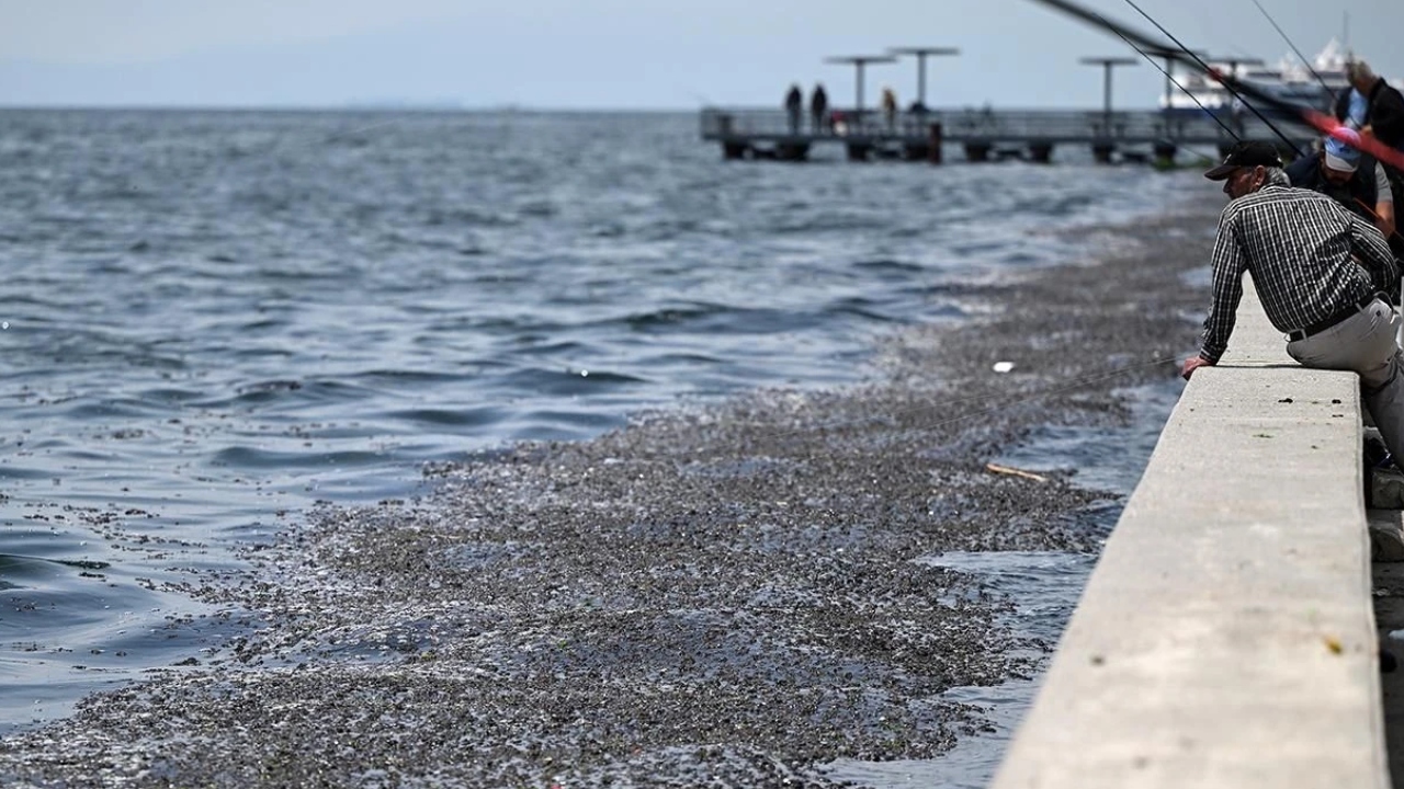 İzmir’de 2025’E Damga Vuran Gelişmeler (14)