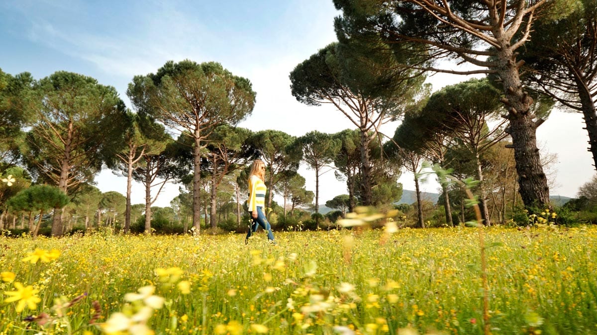 İzmir’in Yeşile Açılan Kapısı Karadeniz’i Geride Bırakan Doğa Harikası (6)