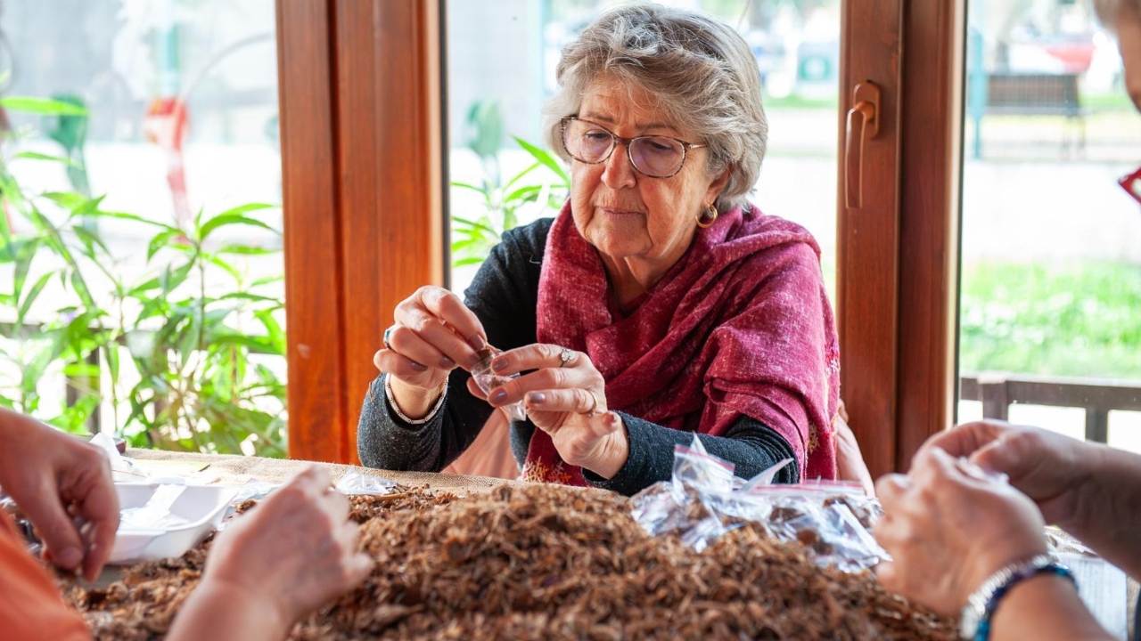 Karşıyaka’da Yerel Tohum Seferberliği 1 Yılda 200 Bini Aşkın Dağıtım (1)