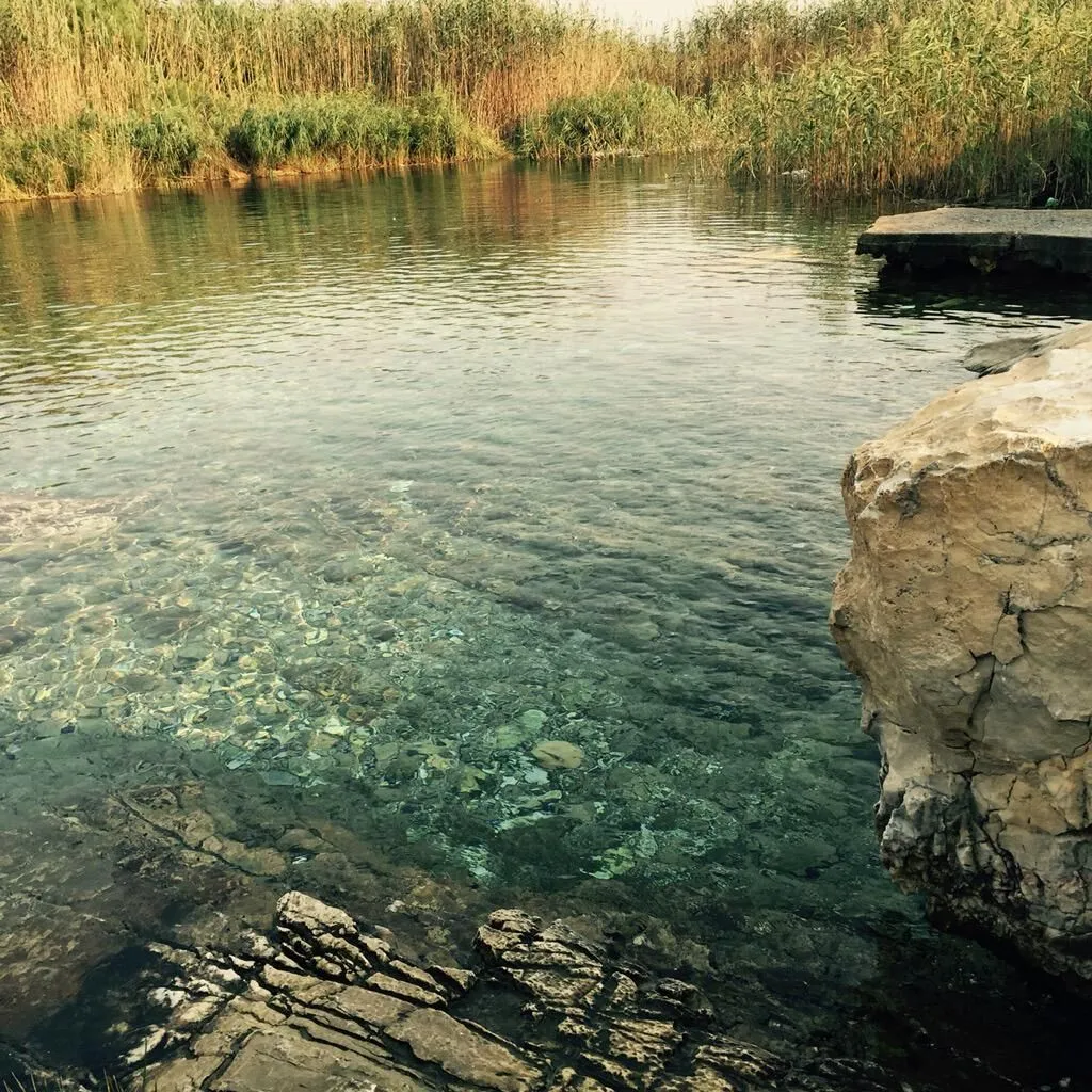 Kent merkezine yakın İzmir’deki en güzel göletler