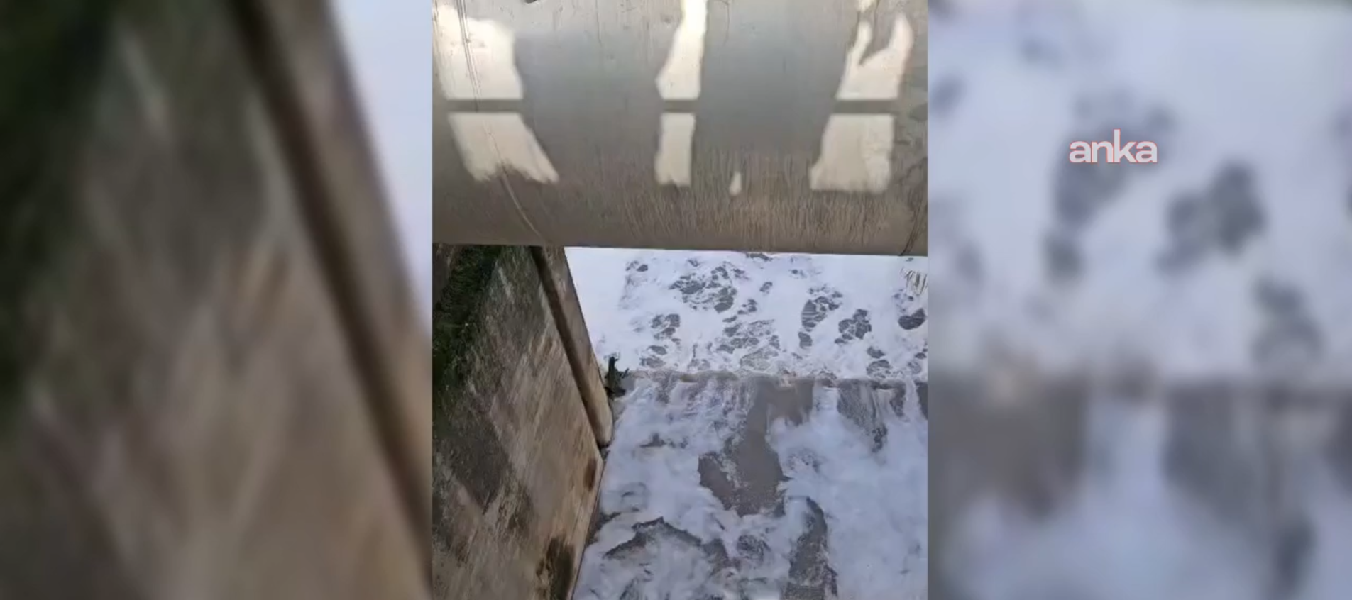 İzmir Körfezi’nde bir kez daha sanayi kirliliği: İZDENİZ’den açıklama-1