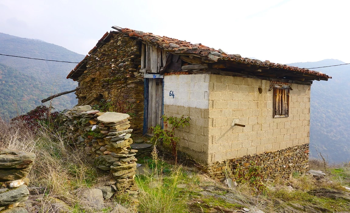 İzmir'in saklı kalmış lezzet rotası: Her lokmada keyif alacaksınız!