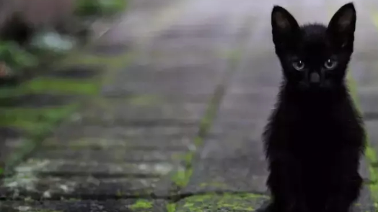 Türkiye’den Dünyaya En Ilginç Batıl Inançlar (1)F