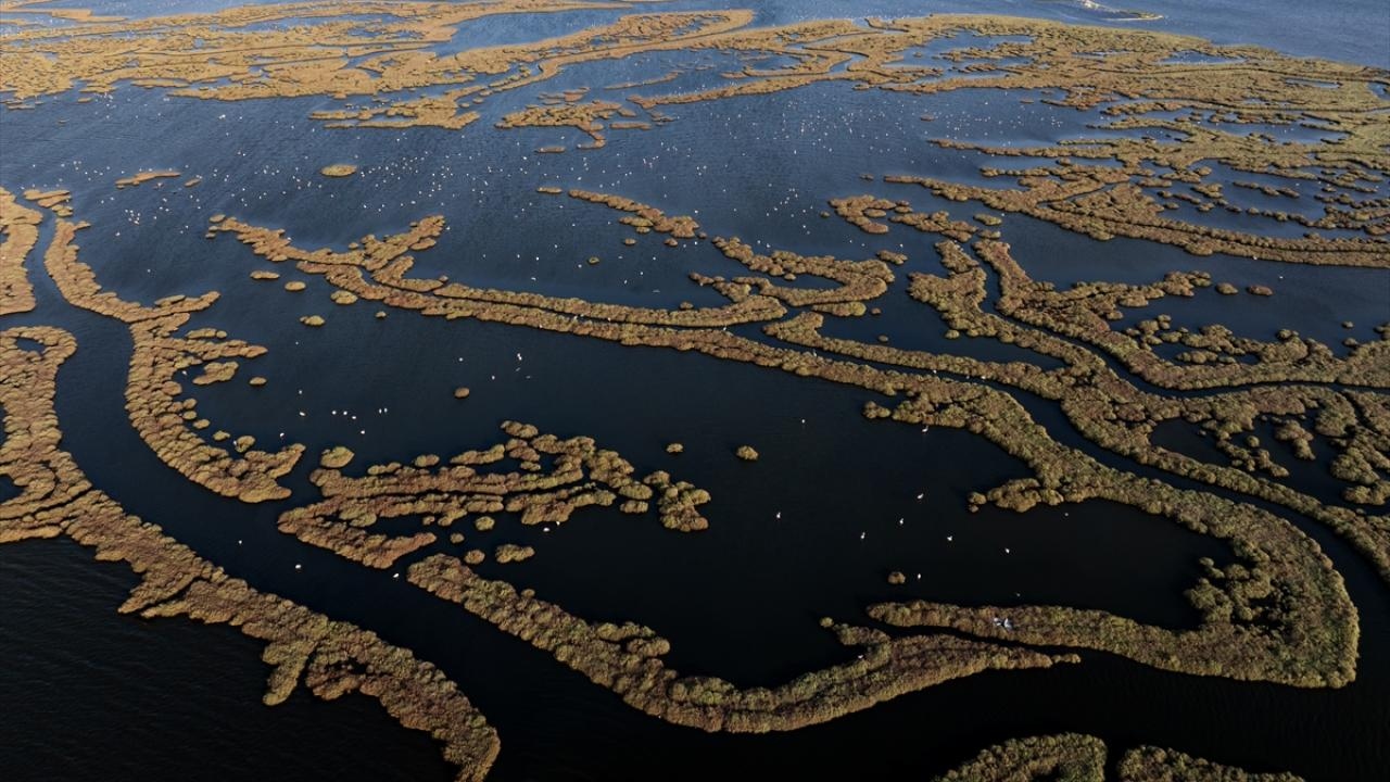 Unesco Dünya Doğal Mirası Olma Yolunda Avrupa’yı Aratmayan Doğal Cennet İzmir’de (2)