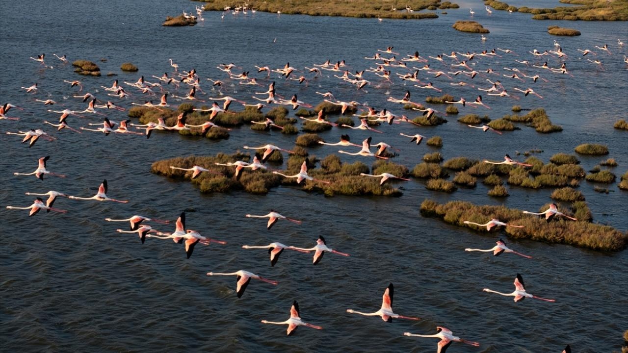 Unesco Dünya Doğal Mirası Olma Yolunda Avrupa’yı Aratmayan Doğal Cennet İzmir’de (4)