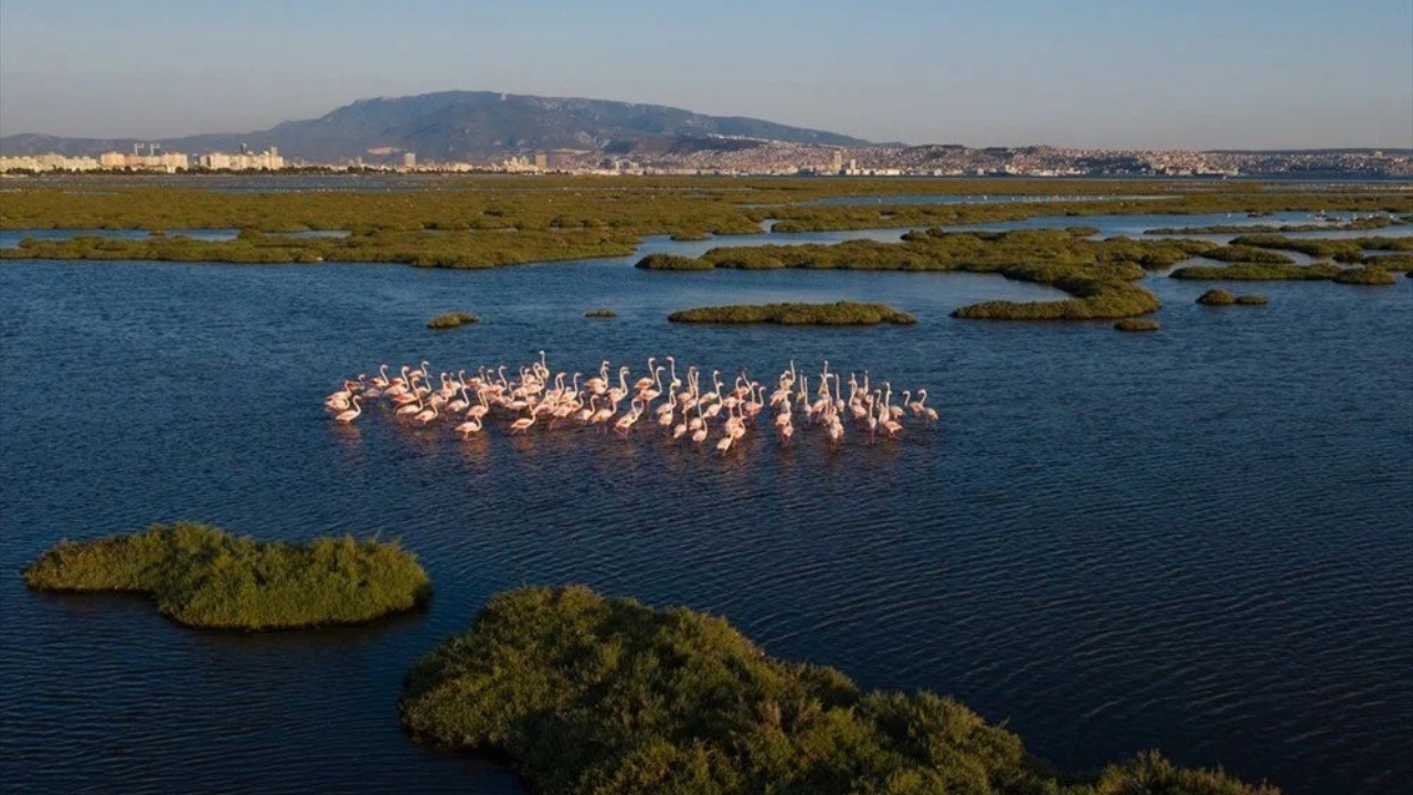 Unesco Dünya Doğal Mirası Olma Yolunda Avrupa’yı Aratmayan Doğal Cennet İzmir’de (7)