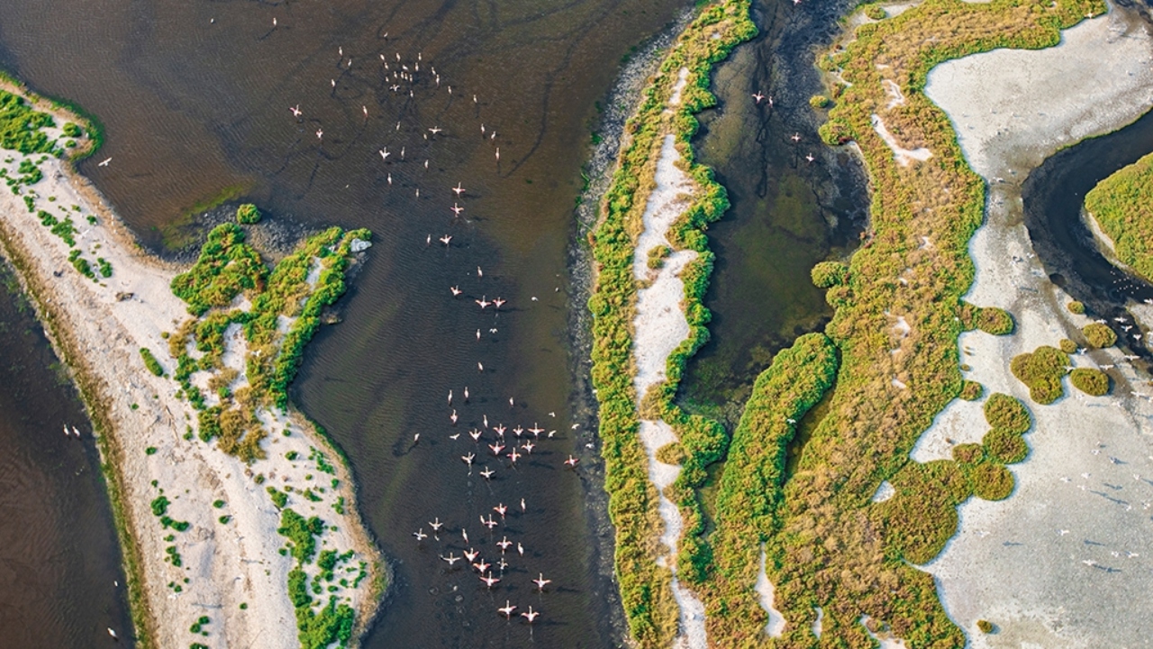 Unesco Dünya Doğal Mirası Olma Yolunda Avrupa’yı Aratmayan Doğal Cennet İzmir’de (8)