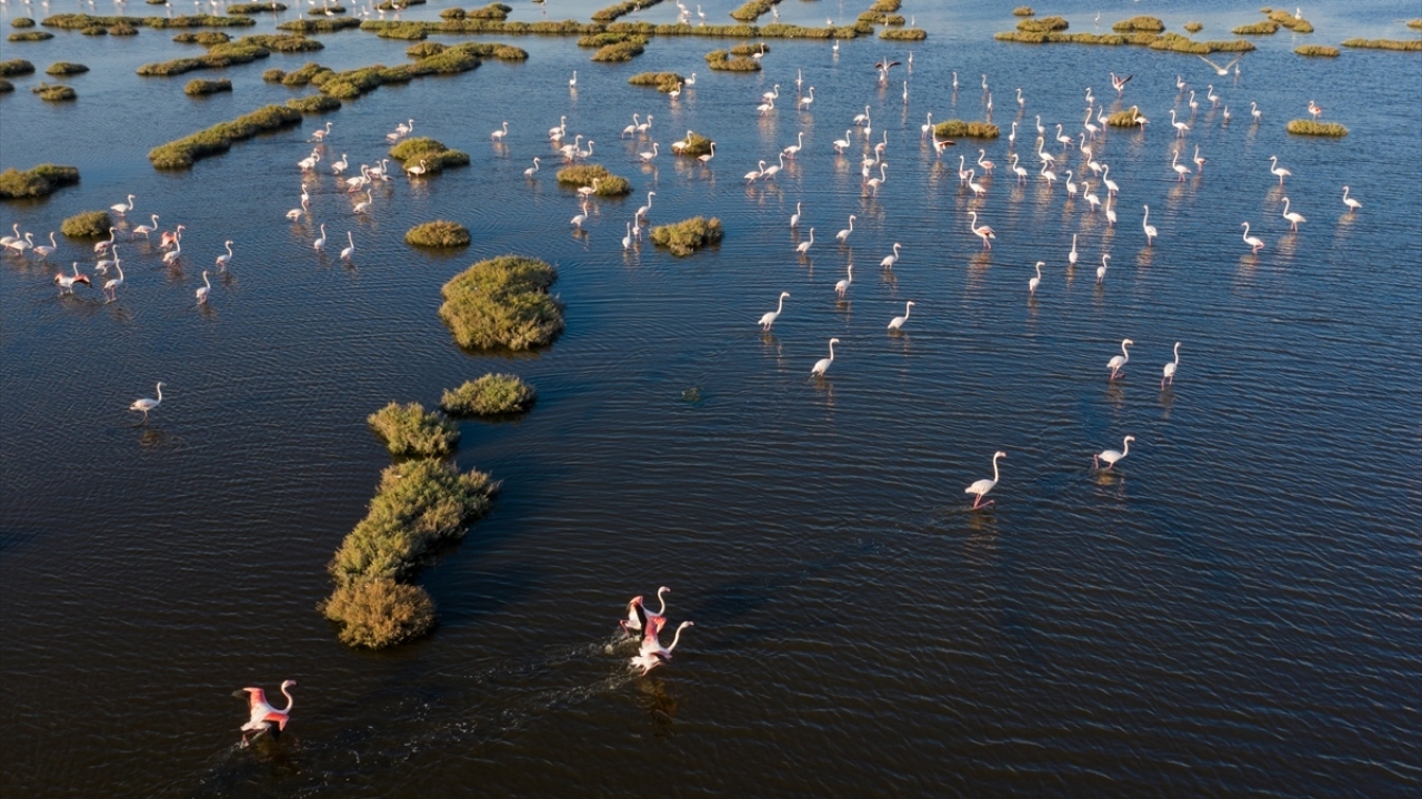 Unesco Dünya Doğal Mirası Olma Yolunda Avrupa’yı Aratmayan Doğal Cennet İzmir’de