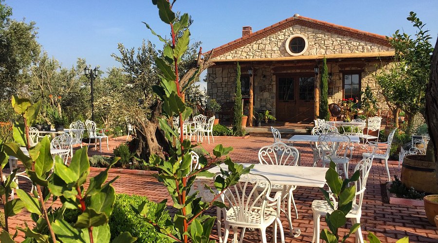 V İ N O L O C A L E