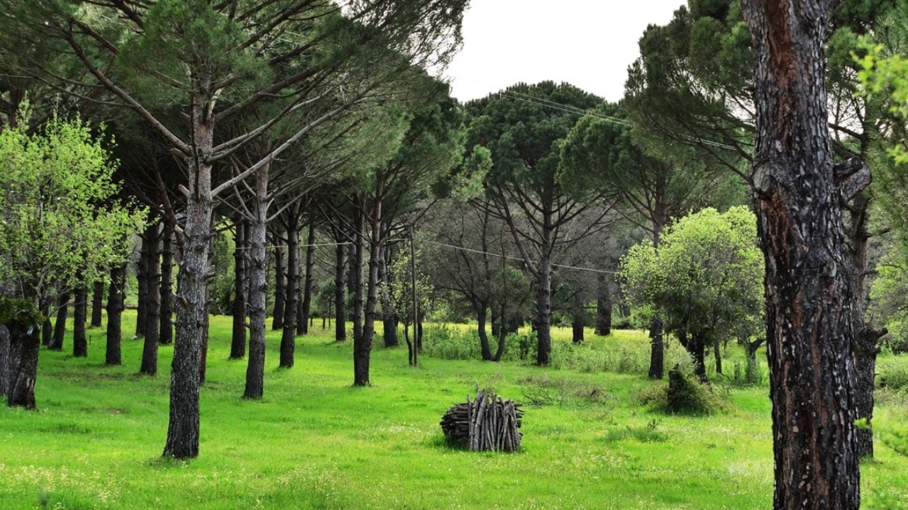 İzmir’in en büyük ilçesi tarihi ve doğasıyla büyülüyor