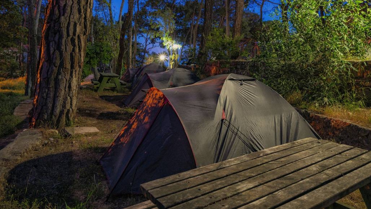 Yelki̇ Akdeni̇z Ormani Güzelbahçe İzmi̇r (3)