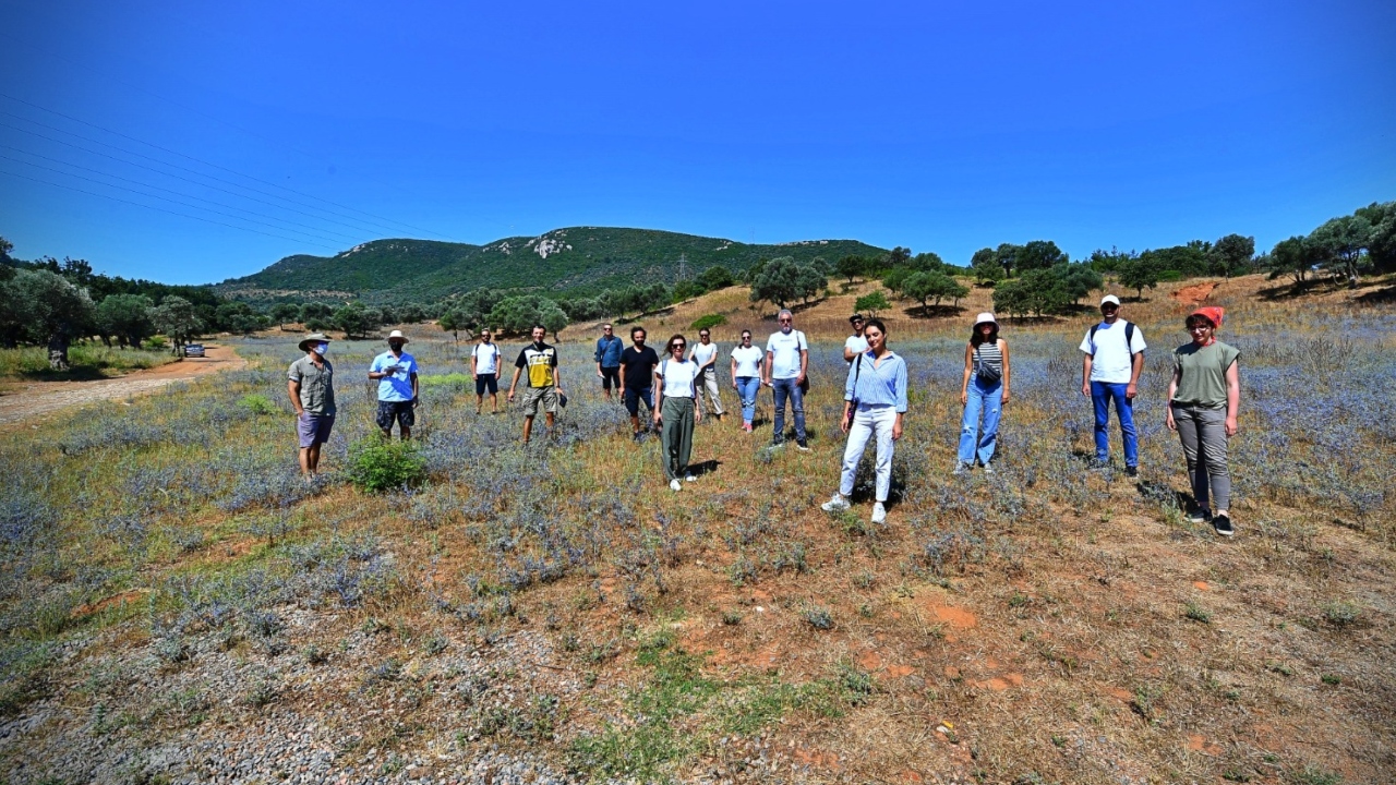 Yelki̇ Akdeni̇z Ormani Güzelbahçe İzmi̇r