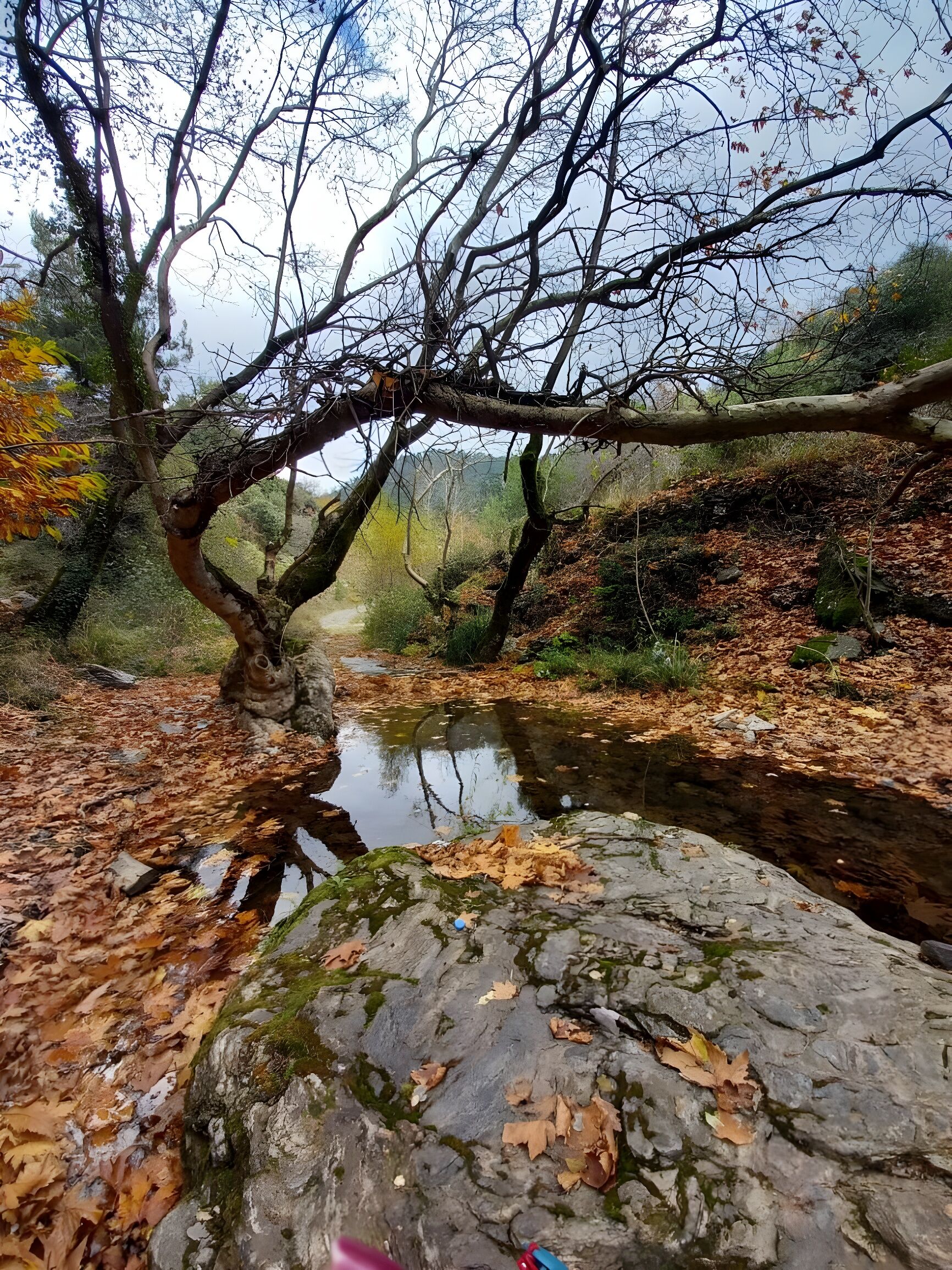 Asırlık çınarların gölgesinde hafta sonu kaçamağı: İzmir’in bu şirin köyü keşfedilmeyi bekliyor