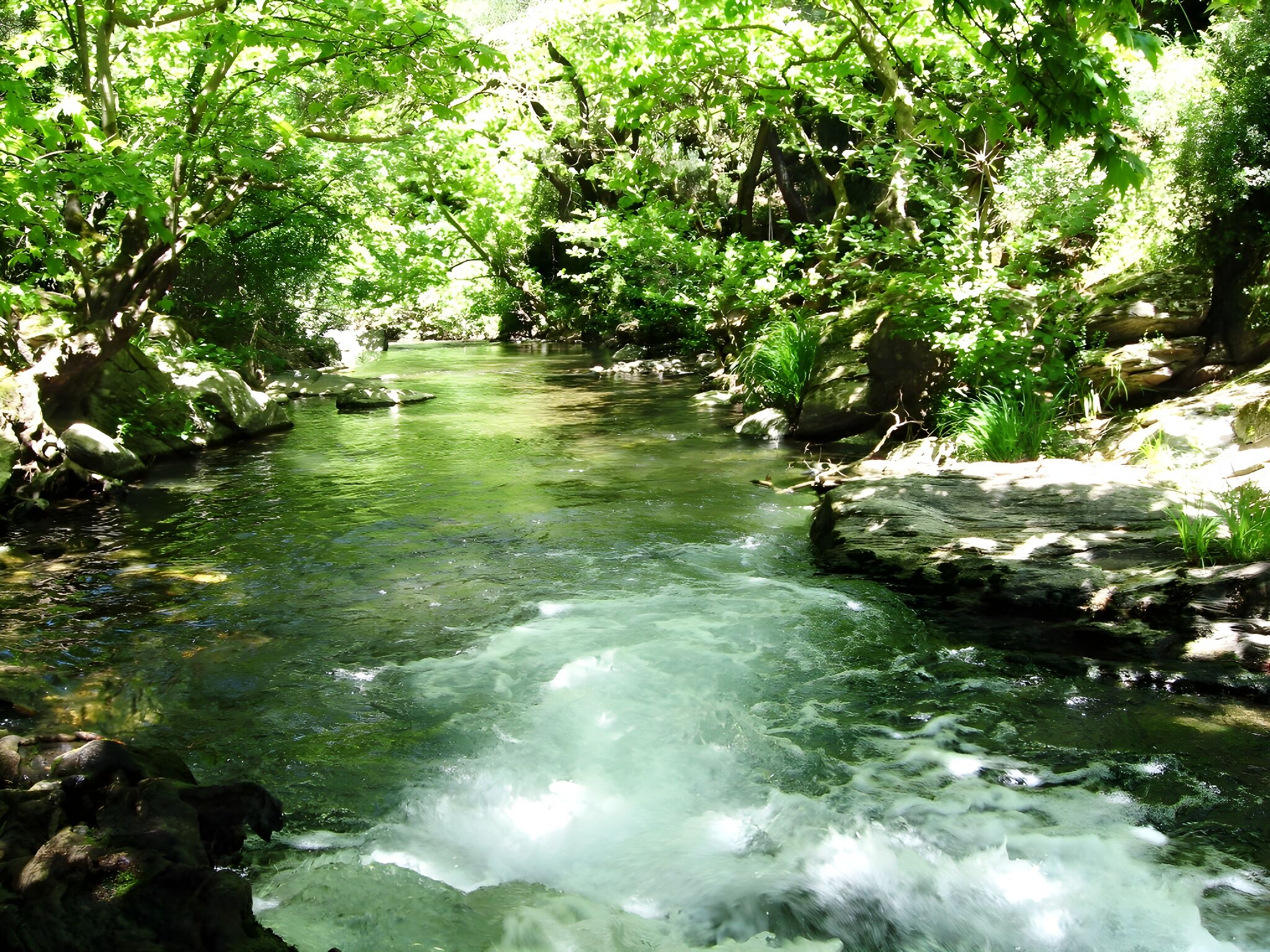 Asırlık çınarların gölgesinde hafta sonu kaçamağı: İzmir’in bu şirin köyü keşfedilmeyi bekliyor