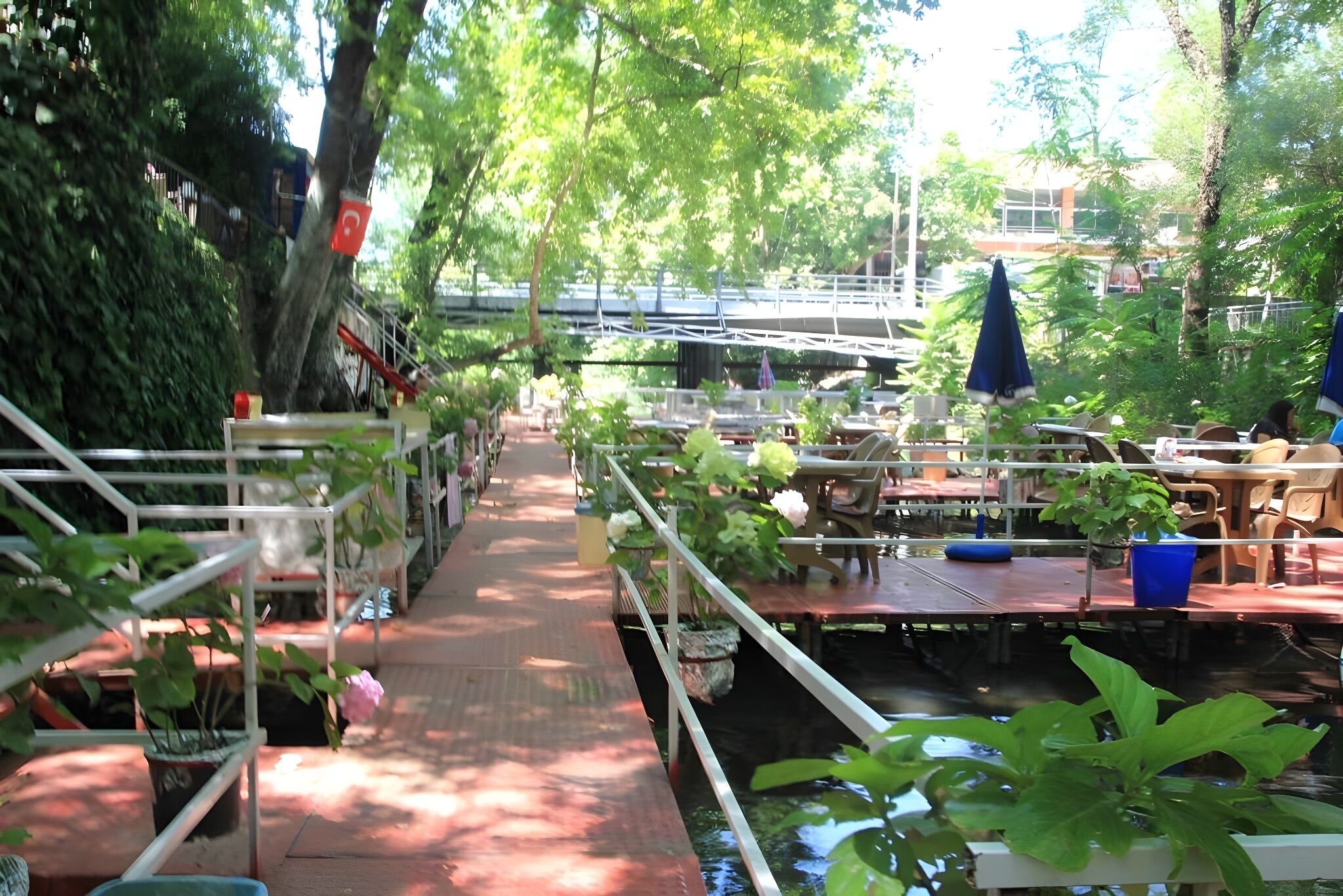 Asırlık çınarların gölgesinde hafta sonu kaçamağı: İzmir’in bu şirin köyü keşfedilmeyi bekliyor