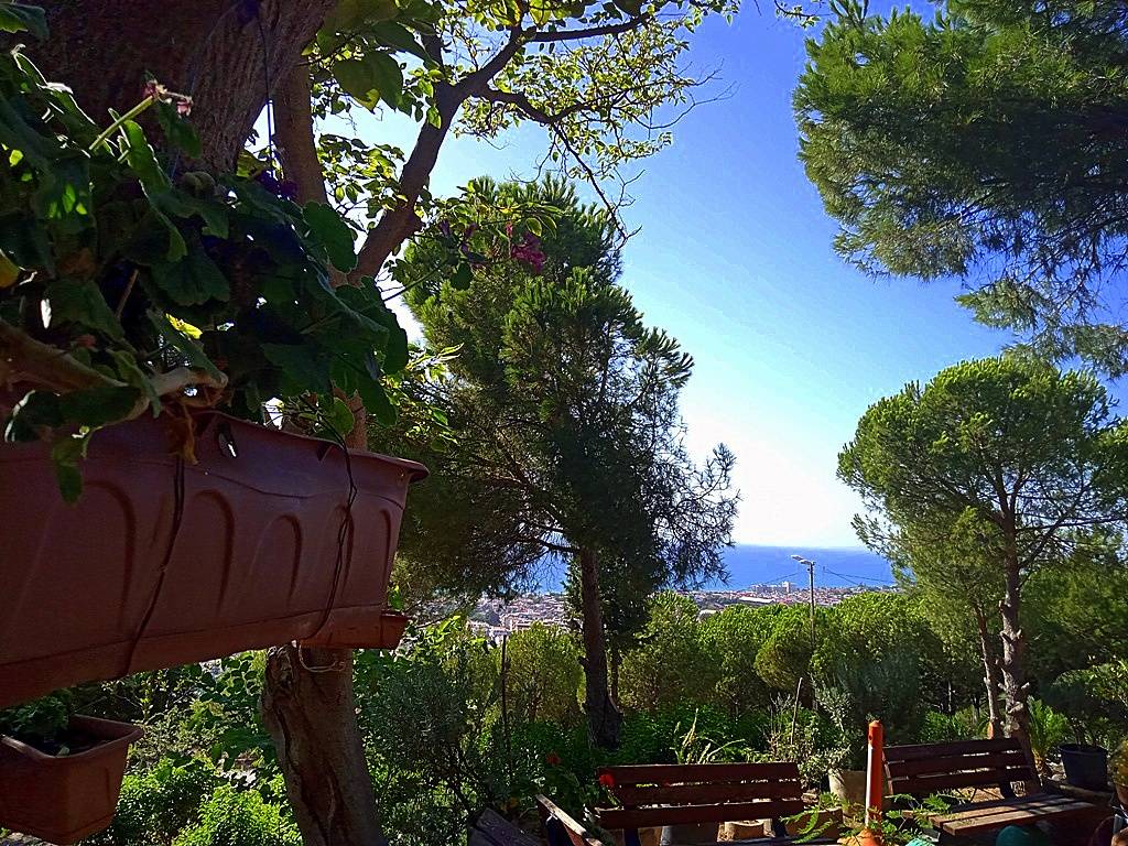 Türkiye’de tek: İzmir’in bu doğa cenneti görenleri büyülüyor